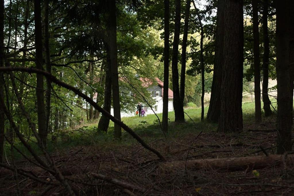 Wald-Apartment Limabach - Oberfrohna Eksteriør bilde