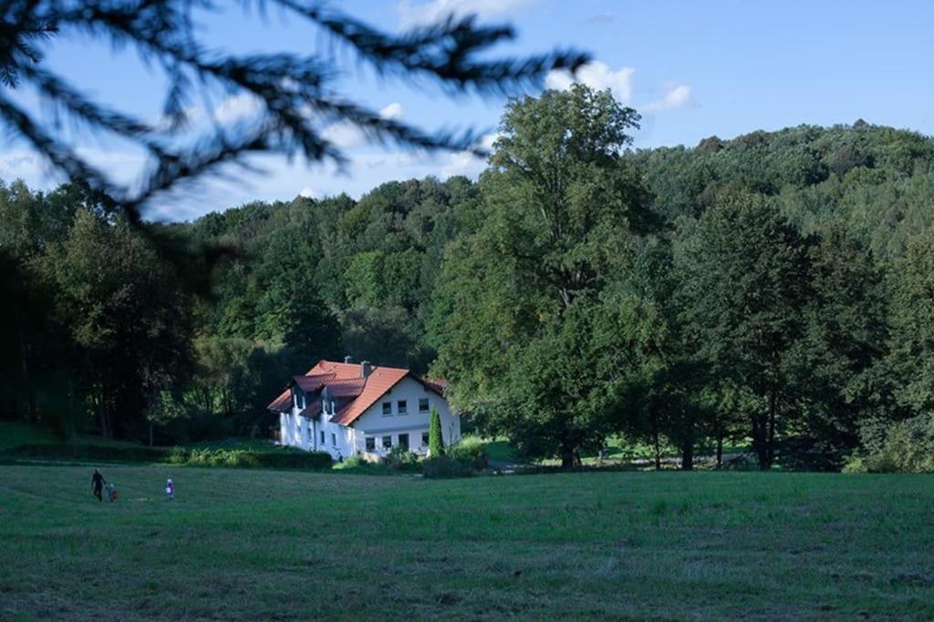 Wald-Apartment Limabach - Oberfrohna Eksteriør bilde