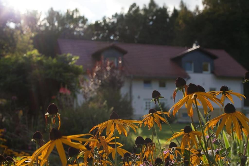Wald-Apartment Limabach - Oberfrohna Eksteriør bilde